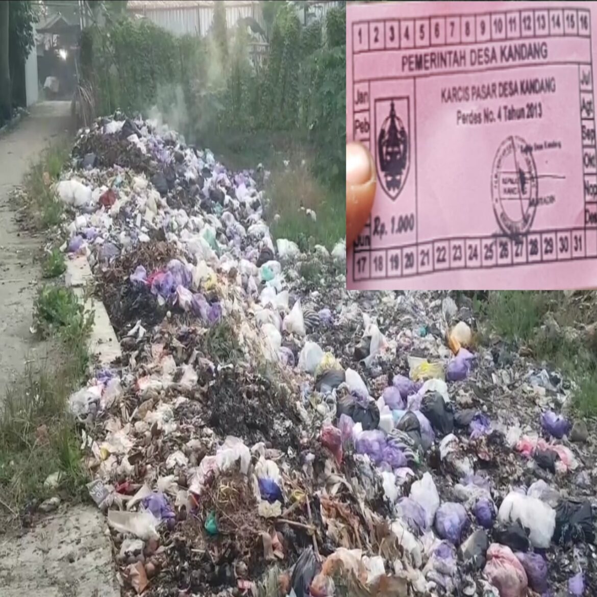 Miris !!! Warga Keluhkan Tumpukan Sampah Dibiarkan Pemerintah Desa Kandang