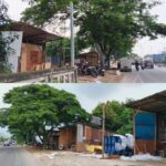 Bangli di Lahan PJT Kalimalang Kembali Menjamur, Ada Apa dengan Pengawasan Aparat?