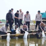 Wakapolda Metro Jaya Bersama Kapolres Metro Bekasi Tebar Puluhan Ribu Benih Ikan di Muara Gembong untuk Dukung Ketahanan Pangan Nasional