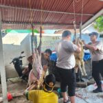 Rayakan Idul Adha, Polsek Serang Baru Salurkan Daging Kurban Door to Door
